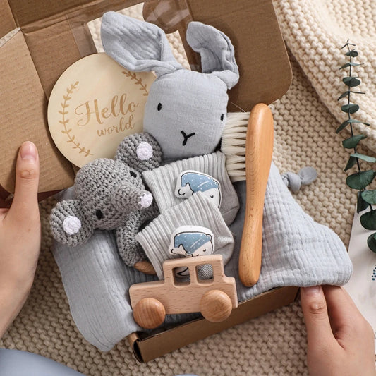 Baby toys including a rabbit plush, mouse plush, and wooden car in a box with a hand pointing at them.